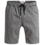 Quiksilver - Fonic Short