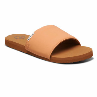 Foamlife Seals Slide - Brown/Pink Apricot