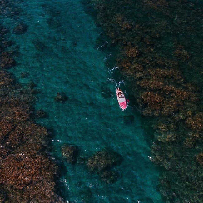 Fanatic - 9.6 Fly Diamond SUP