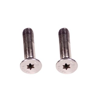 Fanatic Screw Set Foil Back Wing (2pcs) - Dim 300