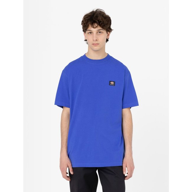 Dickies - Mount Vista Tee SS - Satin Sky