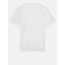 Dickies - Mount Vista Tee SS - White