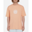 Volcom - Circletrip Loose Fit Short Sleeve Tee - Peach Bud