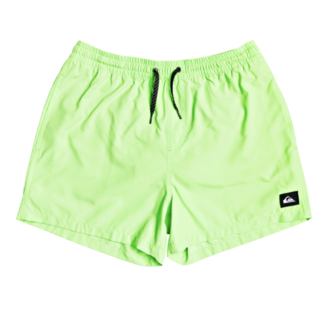 Quiksilver Everyday Volley 15" - Green Gecko