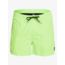 Everyday Volley 15" - Green Gecko