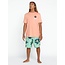 Volcom - FTY Rayz SS Tee - Summer Orange