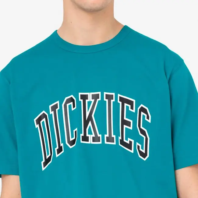 Dickies - Aitkin Tee - Deep Lake