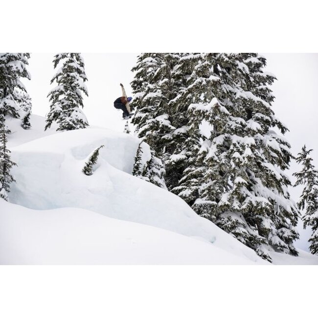 Skunk Ape Camber 2025