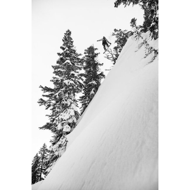 Skunk Ape Camber 2025