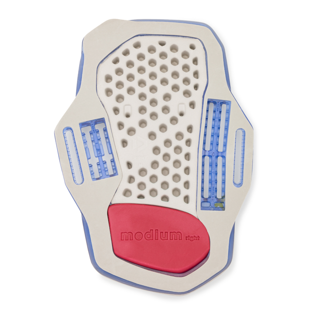 Entity Ergo 2024 - Blue/Lime