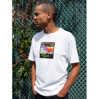 Volcom Volcom Entertainment The Garden Tee - White