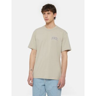 Dickies Aitkin Chest Tee - Sandstone