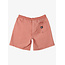 Taxer Walk Shorts - Canyon Clay