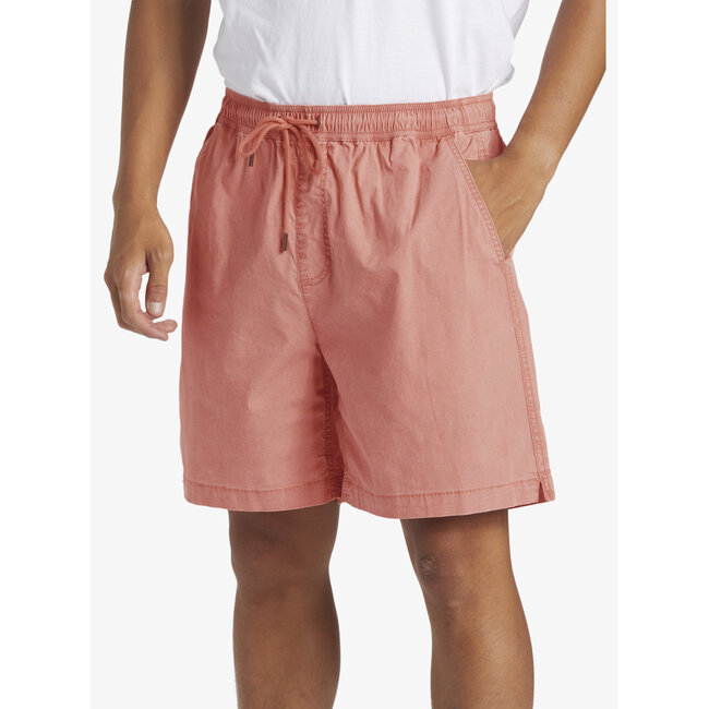 Taxer Walk Shorts - Canyon Clay