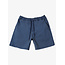 Taxer Walk Shorts - Crown Blue