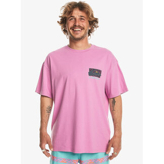 Quiksilver Spin Cycle - Oversized T-Shirt - Violet