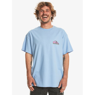 Quiksilver Take Us Back - Oversized T-Shirt - Hydrangea