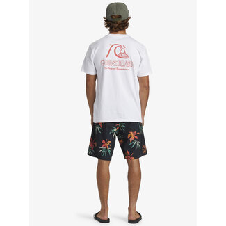 Quiksilver The Original T-Shirt - White