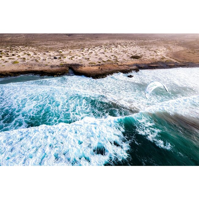 Neo Concept Blue 2024