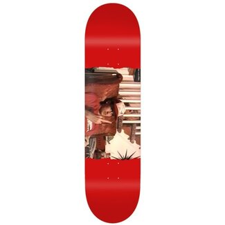 Toy Machine Ed Templeton Flip - 8.5 | 32 | 14.38