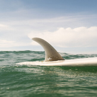 Deflow Cream Longboard Fin