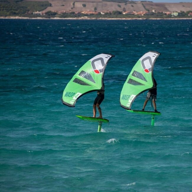 Wing Foil Carbon m/bag/straps