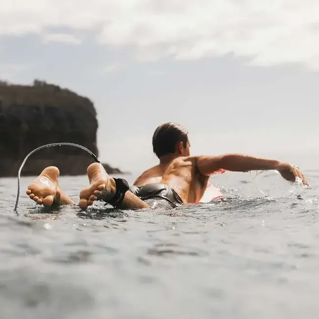 POD x Sharkbanz Haijager