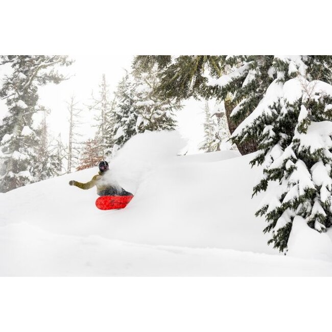 Lib Rig 2025 - Directional | Flex 6 - Austen Sweetin