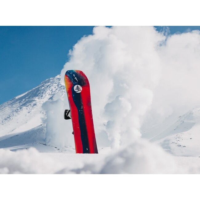 Family Tree Hometown Hero Board