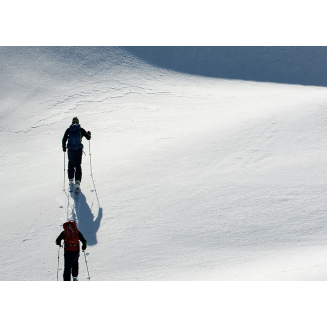 Splitboard+ Universal