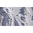 MT 1365s^w Splitboard
