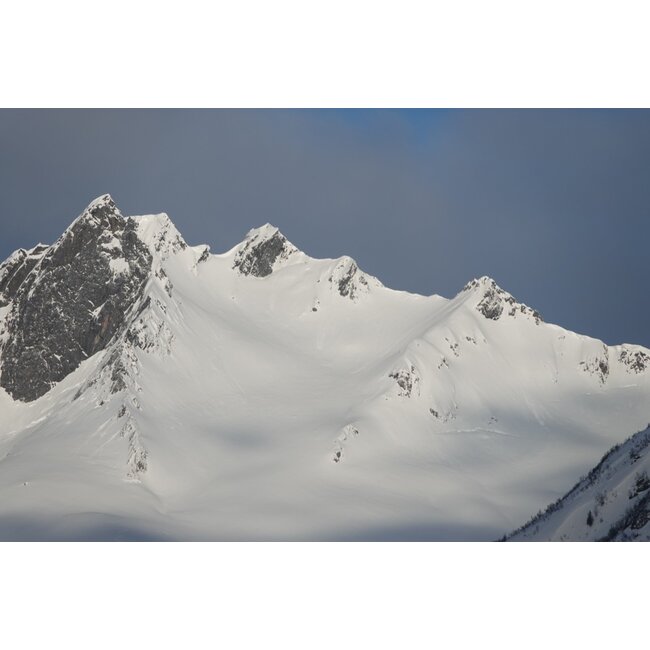 MT 1365s^w Splitboard