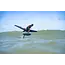 Duotone Skybrid – Midlength Wing Foilbrett for Viderekommende