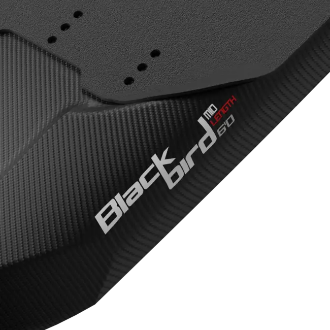 Blackbird Mid Lenght