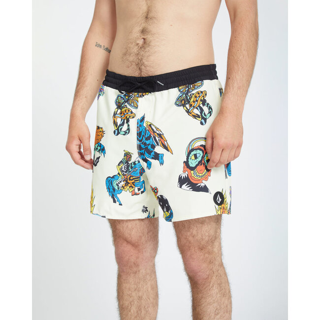 FA Bob Mollema Trunk 16