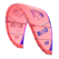 Evo 2025