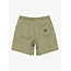 Taxer Walk Shorts - Aloe