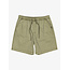 Taxer Walk Shorts - Aloe