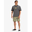 Taxer Walk Shorts - Aloe