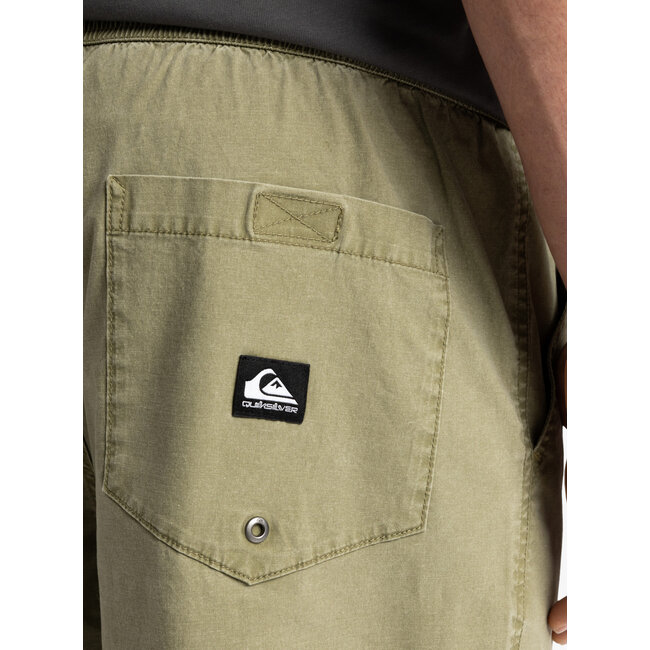 Taxer Walk Shorts - Aloe