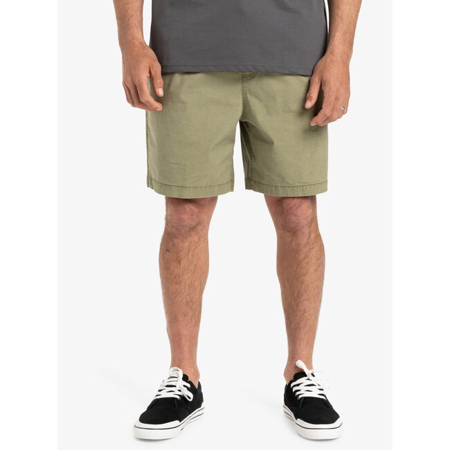 Taxer Walk Shorts - Aloe
