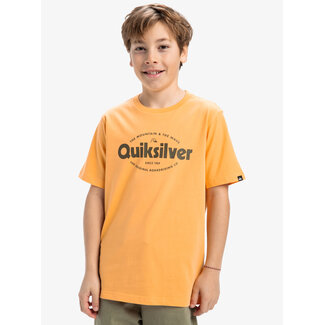 Quiksilver Shape All Days SS - Chamois