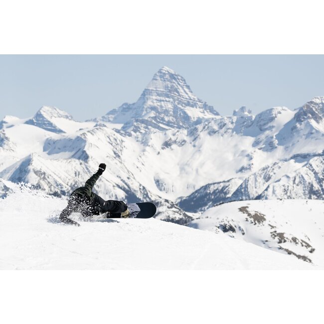 Cold Brew | C2 | 2026