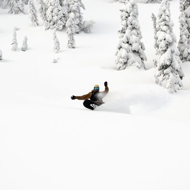 T. Rice Orca - Directional | Flex 7