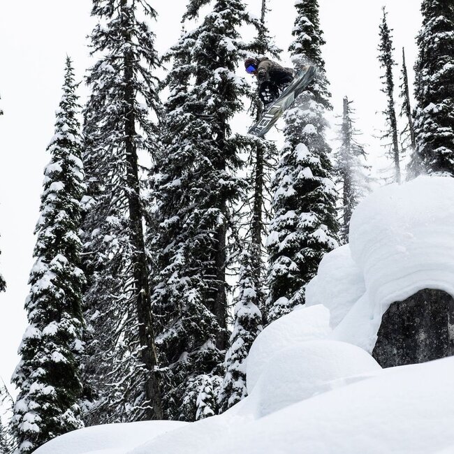 Dynamo - Directional | Flex 6 | Camber