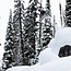Dynamo - Snowboard Herre | Directional | Flex 6 | Camber