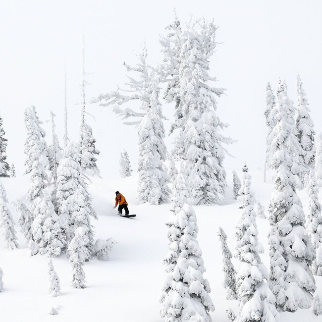 Sweetfish - Snowboard Herre | Directional | Flex 7 | Camber