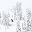 Sweetfish - Snowboard Herre | Directional | Flex 7 | Camber
