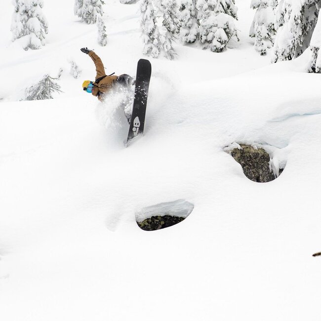 Golden Orca | C2X | 2026