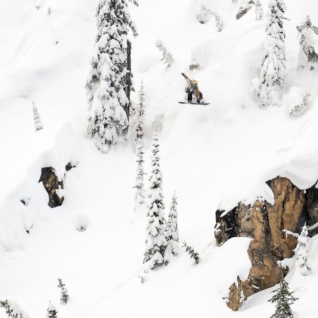 Golden Orca | C2X | 2026